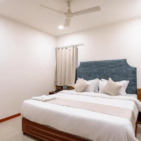 Hotel Silver Tree-3